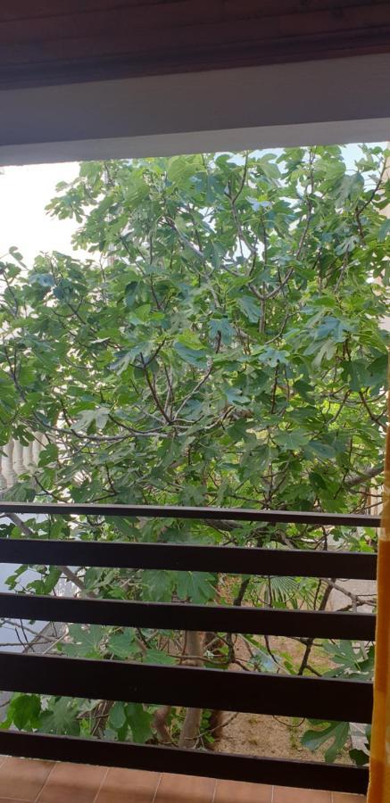 Apartment Tonci Раб Екстериор снимка